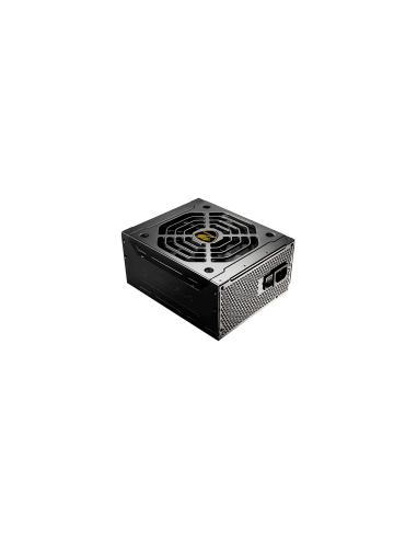 COUGAR GEX 1050 PSU